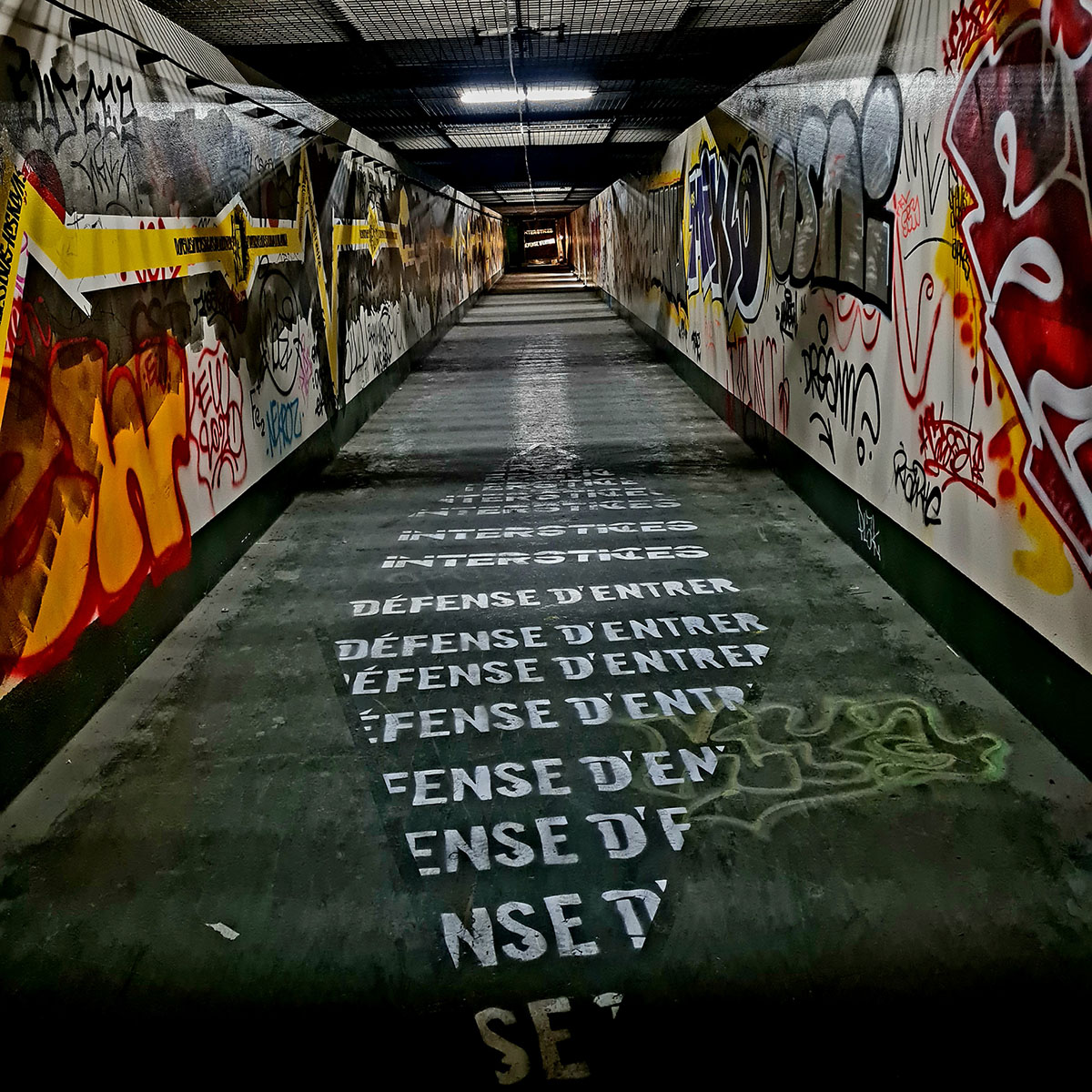 Fresque sur les murs par Lün du Sud